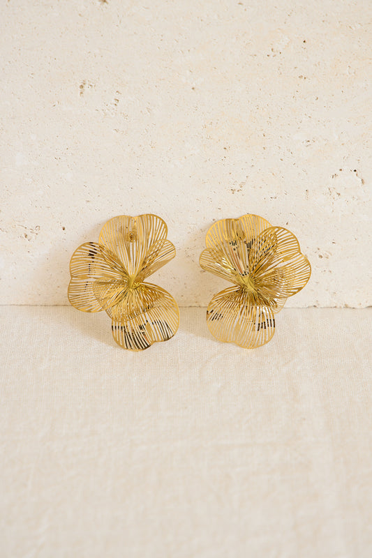 PENDIENTES VICTORIA